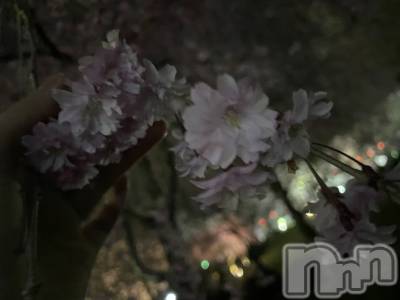 ��ˬ����Х��顦����֥���� �ץ���� ��ˬ(����� �ץ���� ����) ���� ���ޤ�4��9���̥�֥�����🌧��