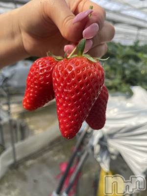 ��ˬ����Х��顦����֥���� �ץ���� ��ˬ(����� �ץ���� ����) ���� ���ޤ�4��20���̥�֥�������������