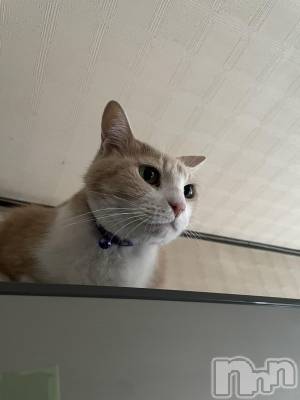 ��ˬ����Х��顦����֥���� �ץ���� ��ˬ(����� �ץ���� ����) ���� ���ޤ�6��19���̥�֥�����𝙒𝙚𝙙𝙣𝙚𝙨𝙙𝙖𝙮��