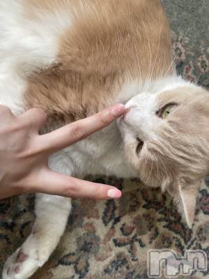 ��ˬ����Х��顦����֥���� �ץ���� ��ˬ(����� �ץ���� ����) ���� ���ޤ�7��13���̥�֥�����������~❕��