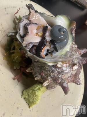 ��ˬ����Х��顦����֥���� �ץ���� ��ˬ(����� �ץ���� ����) ���� ���ޤ�9��7���̥�֥�����𝑺𝒂𝒕𝒖𝒓𝒅𝒂𝒚��