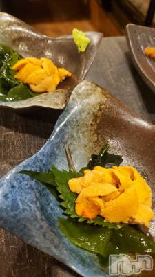 ��ˬ����Х��顦����֥���� �ץ���� ��ˬ(����� �ץ���� ����) ���� ���ޤ�9��13���̥�֥�����𝐅𝐫𝐢𝐝𝐚𝐲��