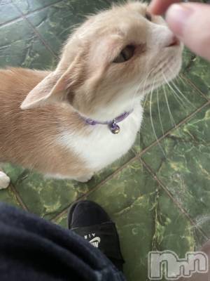 ��ˬ����Х��顦����֥���� �ץ���� ��ˬ(����� �ץ���� ����) ���� ���ޤ�11��15���̥�֥����ֶ�����~❕��