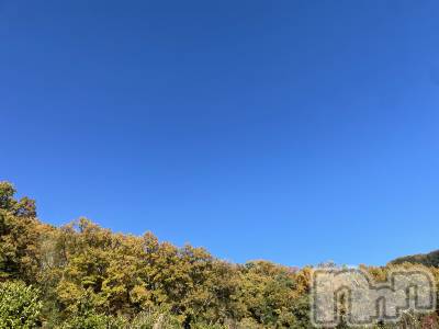 ��ˬ����Х��顦����֥���� �ץ���� ��ˬ(����� �ץ���� ����) ���� ���ޤ�12��2���̥�֥�������ŷ~❕��