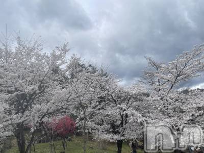 ��ˬ����Х��顦����֥���� �ץ���� ��ˬ(����� �ץ���� ����) ���� ���ޤ�4��4���̥�֥����ֶ�����~🌸��