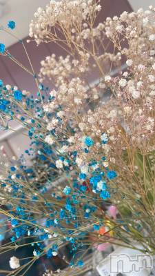 ��ˬ����Х��顦����֥���� �ץ���� ��ˬ(����� �ץ���� ����) ���� ���ޤ�7��15���̥�֥����ֲ�����~❕��