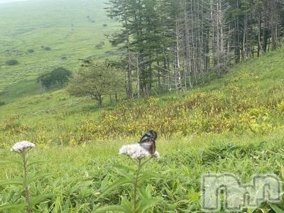 ��ˬ����Х��顦����֥���� �ץ���� ��ˬ(����� �ץ���� ����) ���� ���ޤ�8��5���̥�֥����֤���ä������