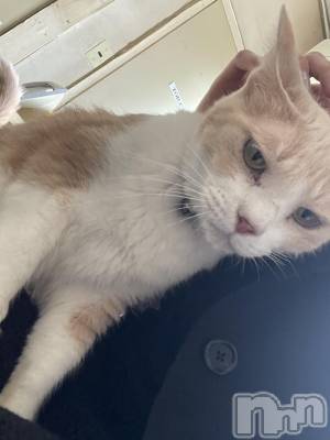 ��ˬ����Х��顦����֥���� �ץ���� ��ˬ(����� �ץ���� ����) ���� ���ޤ�8��30���̥�֥�����������~❕��