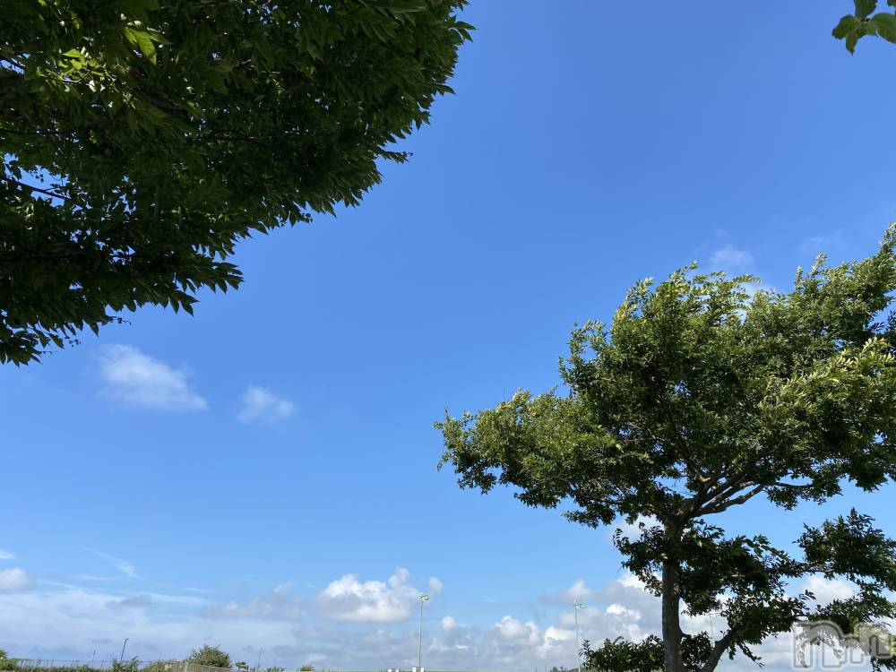 長岡デリヘル人妻楼　長岡店(ヒトヅマロウ　ナガオカテン) じゅん(32)の10月28日写メブログ「お礼♡」