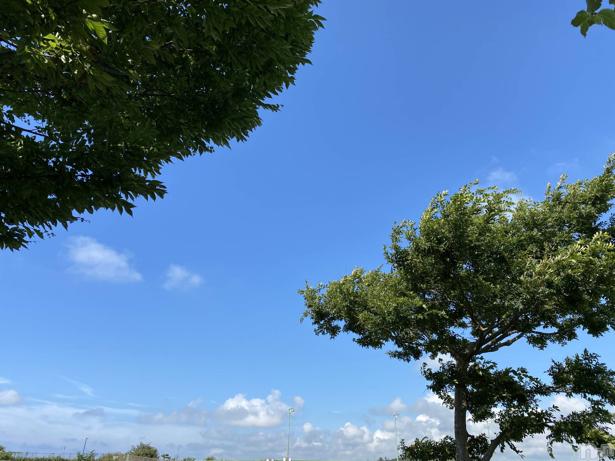 長岡デリヘル人妻楼　長岡店(ヒトヅマロウ　ナガオカテン)じゅん(32)の2020年10月28日写メブログ「お礼♡」