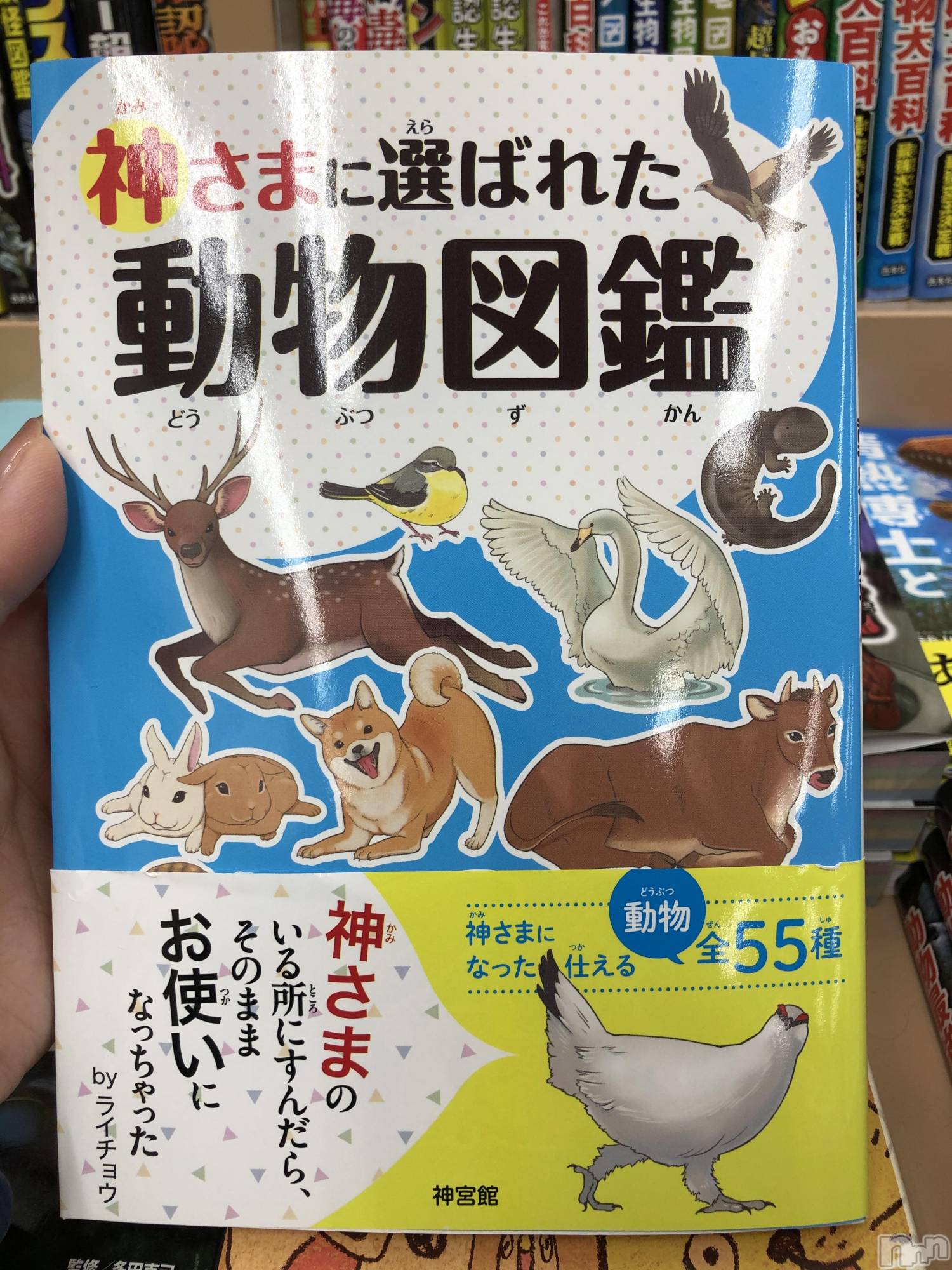 長岡人妻デリヘル人妻楼　長岡店(ヒトヅマロウ　ナガオカテン)じゅん(32)の2021年1月7日写メブログ「こんにちは☺︎」