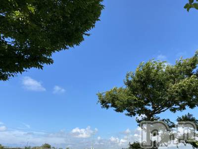 長岡デリヘル 人妻楼　長岡店(ヒトヅマロウ　ナガオカテン) じゅん(32)の10月28日写メブログ「お礼♡」