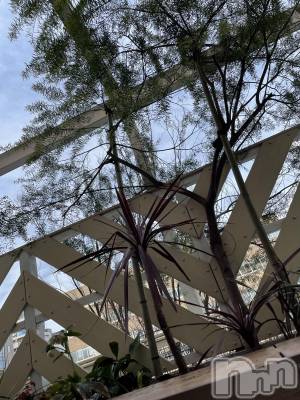 長岡デリヘル 人妻楼　長岡店(ヒトヅマロウ　ナガオカテン) じゅん(32)の3月30日写メブログ「ご無沙汰です」