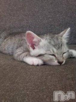 松本発デリヘル 松本人妻隊(マツモトヒトヅマタイ) りんか(42)の5月9日写メブログ「ありがとうございました?」