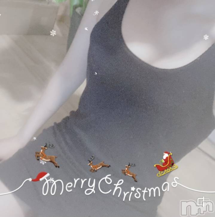 㡦ȯĥꥢ󥺥ƺʿ Ź   (祯ӡ˥奦ƥ) ޡSPбġۤ1221ֽ̥֥ж🎄
