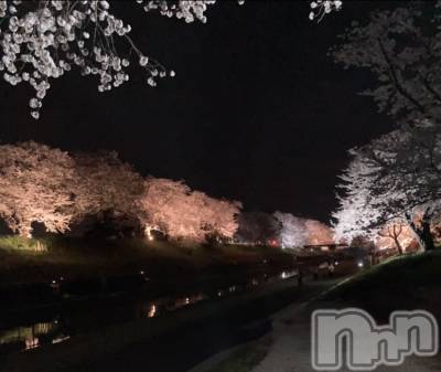 㡦ȯĥꥢ󥺥ƺʿ Ź   (祯ӡ˥奦ƥ) ޡSPбġ(24)46̥֥ж🌸