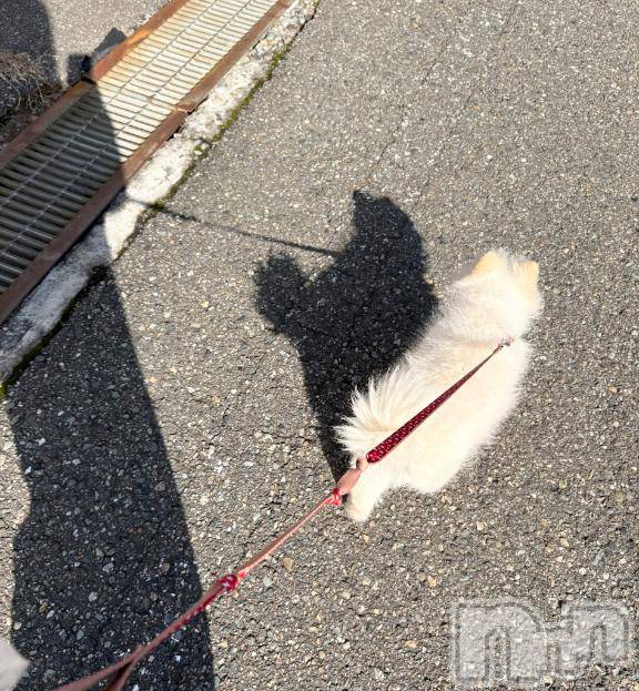 長岡デリヘルBIANCA～主人の知らない私～長岡店(ビアンカナガオカテン) 南野　ゆあん(34)の11月12日写メブログ「日向ぼっこ☀️🍂❤️」