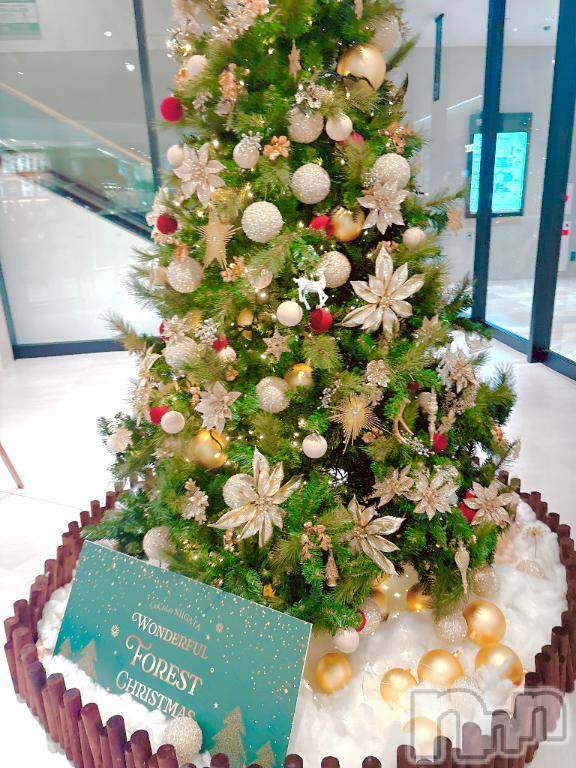 長岡デリヘルBIANCA～主人の知らない私～長岡店(ビアンカナガオカテン) 南野　ゆあん(34)の11月28日写メブログ「ランチ😋」