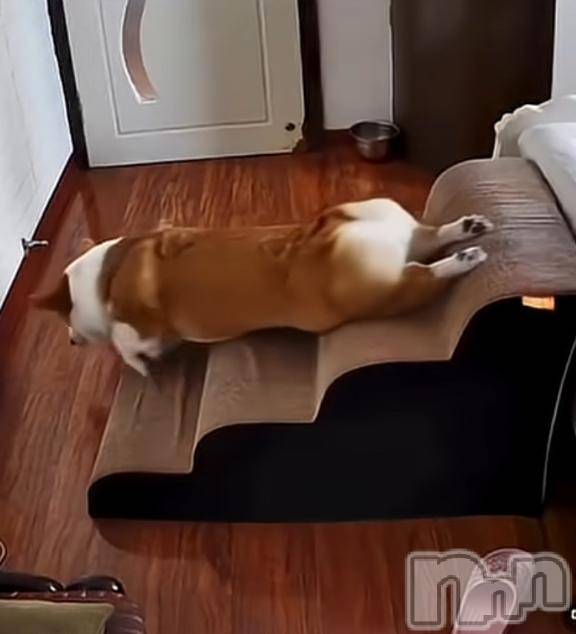 長岡デリヘルBIANCA～主人の知らない私～長岡店(ビアンカナガオカテン)南野　ゆあん(34)の2025年11月12日写メブログ「休みの次の日のあたしみたい😝」