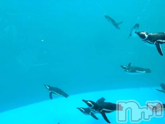 長岡デリヘルBIANCA～主人の知らない私～長岡店(ビアンカナガオカテン)南野　ゆあん(34)の2026年3月9日写メブログ「癒し💖」