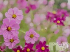 長岡デリヘルBIANCA～主人の知らない私～長岡店(ビアンカナガオカテン) 南野　ゆあん(34)の10月20日写メブログ「気づけば１週間…😊」