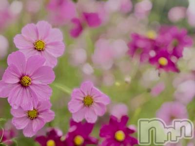 長岡デリヘル BIANCA～主人の知らない私～長岡店(ビアンカナガオカテン) 南野　ゆあん(34)の10月20日写メブログ「気づけば１週間…😊」