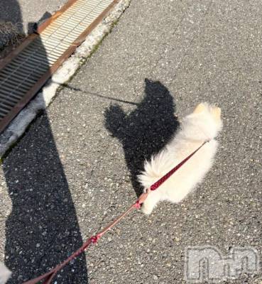 長岡デリヘル BIANCA～主人の知らない私～長岡店(ビアンカナガオカテン) 南野　ゆあん(34)の11月12日写メブログ「日向ぼっこ☀️🍂❤️」