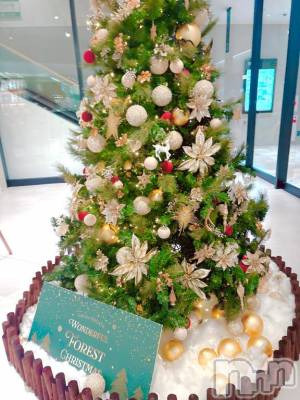 長岡デリヘル BIANCA～主人の知らない私～長岡店(ビアンカナガオカテン) 南野　ゆあん(34)の11月28日写メブログ「ランチ😋」