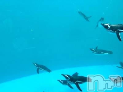 長岡デリヘル BIANCA～主人の知らない私～長岡店(ビアンカナガオカテン) 南野　ゆあん(34)の3月9日写メブログ「癒し💖」