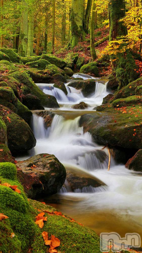 上越デリヘル上越最安値！奥様Deli急便(ジョウエツサイヤスネ！オクサマデリキュウビン) 熟女エロパワー全開　あきほ(54)の12月1日写メブログ「おっはよ！今月もあきほは何処にでも出現するよ！」