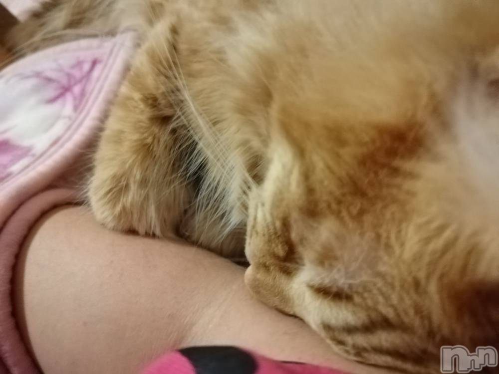 上越デリヘル上越最安値！奥様Deli急便(ジョウエツサイヤスネ！オクサマデリキュウビン) 熟女エロパワー全開　あきほ(54)の12月8日写メブログ「出勤中♡♡」