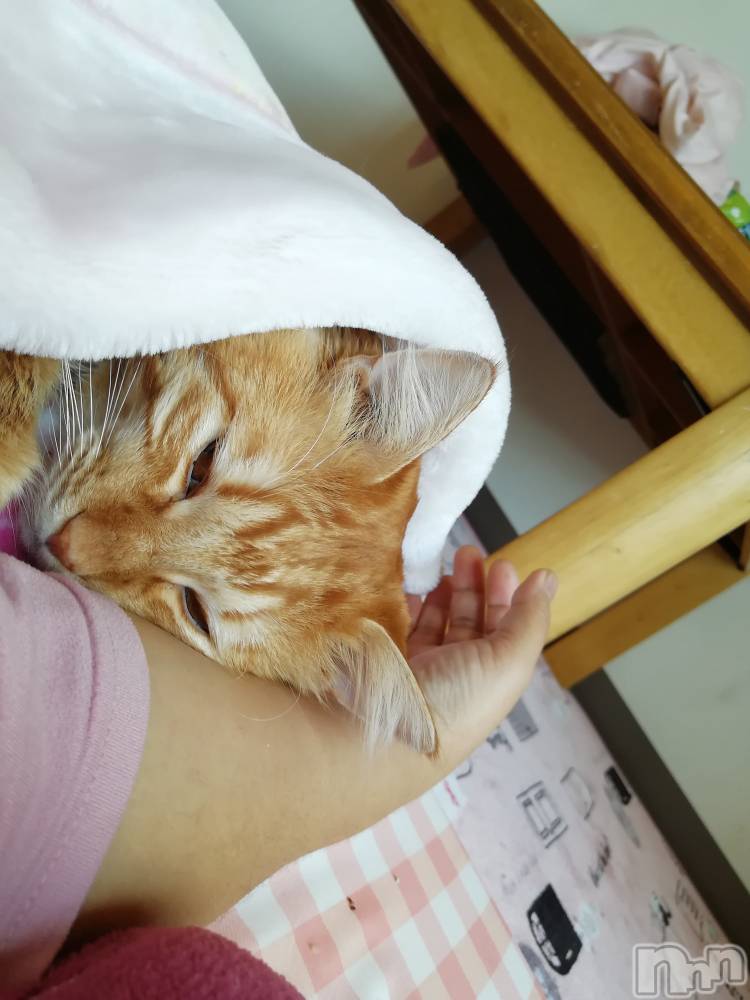 上越デリヘル上越最安値！奥様Deli急便(ジョウエツサイヤスネ！オクサマデリキュウビン) 熟女エロパワー全開　あきほ(54)の12月10日写メブログ「今日もどんどんお電話下さいね♡」