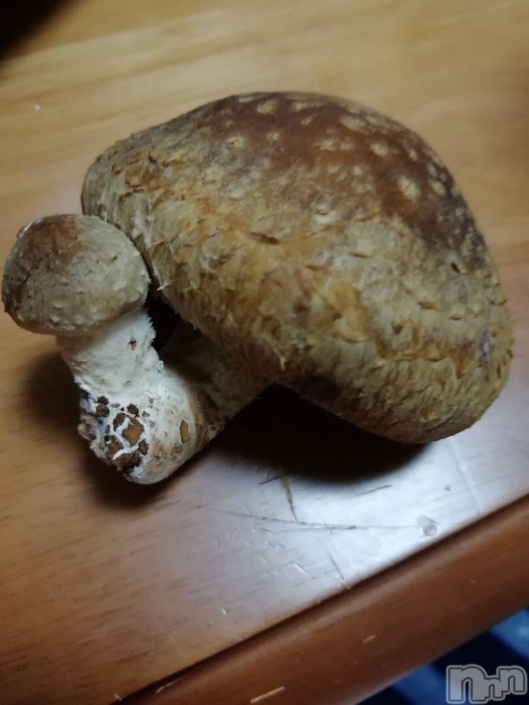 上越デリヘル上越最安値！奥様Deli急便(ジョウエツサイヤスネ！オクサマデリキュウビン) 熟女エロパワー全開　あきほ(54)の1月4日写メブログ「しいたけ笑」