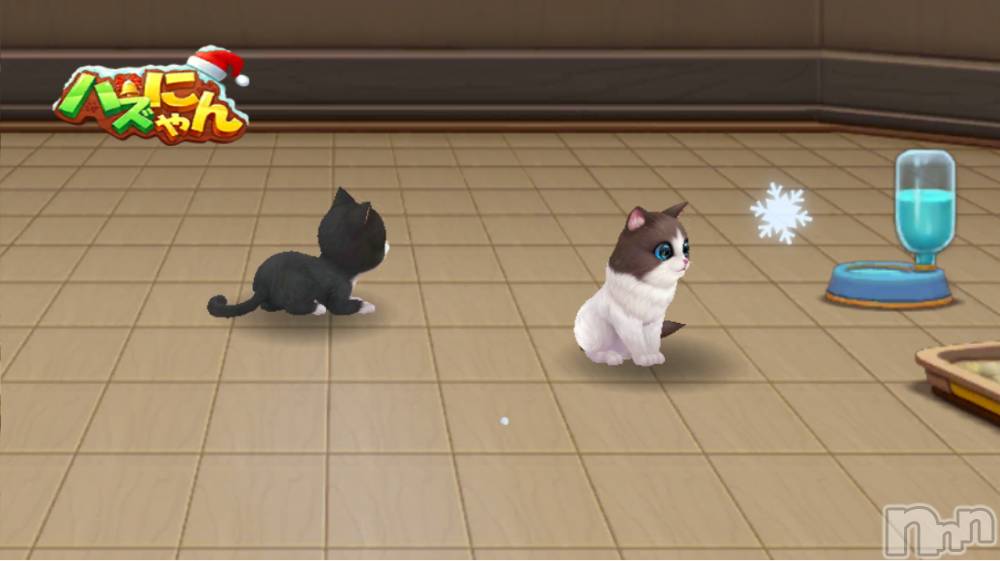 上越デリヘル上越最安値！奥様Deli急便(ジョウエツサイヤスネ！オクサマデリキュウビン) 熟女エロパワー全開　あきほ(54)の1月5日写メブログ「お仕事お疲れ様でした～」