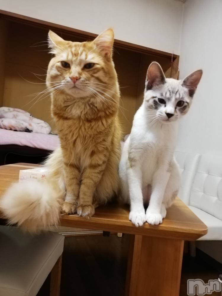 上越デリヘル上越最安値！奥様Deli急便(ジョウエツサイヤスネ！オクサマデリキュウビン) 熟女エロパワー全開　あきほ(54)の3月25日写メブログ「月曜日から出勤します」