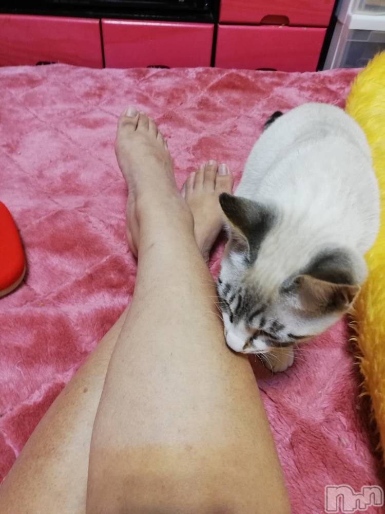 上越デリヘル上越最安値！奥様Deli急便(ジョウエツサイヤスネ！オクサマデリキュウビン) 熟女エロパワー全開　あきほ(54)の4月1日写メブログ「あきほとラブラブしよ♡♡♡♡♡」