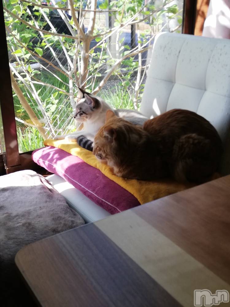 上越デリヘル上越最安値！奥様Deli急便(ジョウエツサイヤスネ！オクサマデリキュウビン) 熟女エロパワー全開　あきほ(54)の5月6日写メブログ「熟女と遊びませんか？損はさせないよ🎵」