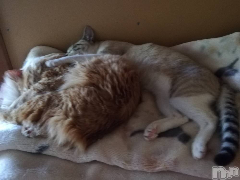 上越デリヘル上越最安値！奥様Deli急便(ジョウエツサイヤスネ！オクサマデリキュウビン) 熟女エロパワー全開　あきほ(54)の5月10日写メブログ「まだまだ待ってます♡」