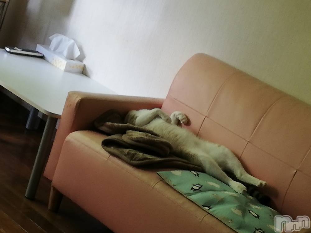 上越デリヘル上越最安値！奥様Deli急便(ジョウエツサイヤスネ！オクサマデリキュウビン) 熟女エロパワー全開　あきほ(54)の6月21日写メブログ「熟女が癒します(*^^*)」