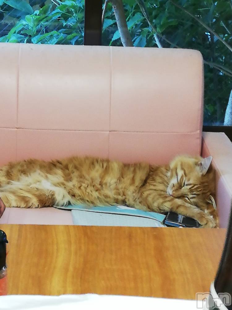 上越デリヘル上越最安値！奥様Deli急便(ジョウエツサイヤスネ！オクサマデリキュウビン) 熟女エロパワー全開　あきほ(54)の7月22日写メブログ「12時から24時迄出勤するのでお電話待ってます❤️」