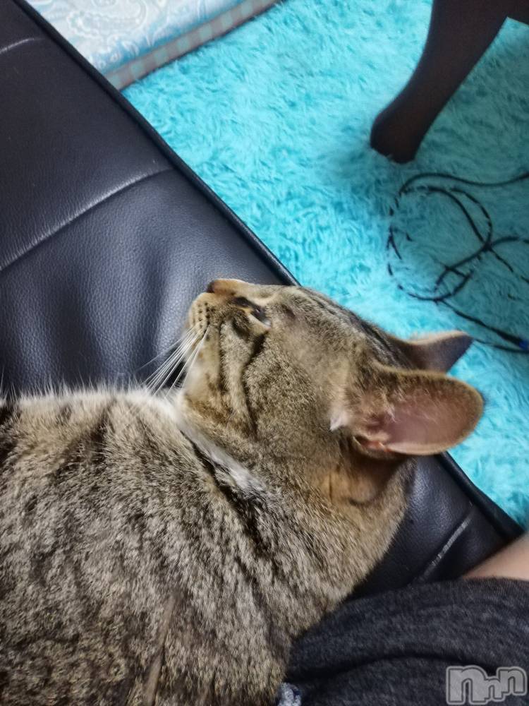 上越デリヘル上越最安値！奥様Deli急便(ジョウエツサイヤスネ！オクサマデリキュウビン) 熟女エロパワー全開　あきほ(54)の8月2日写メブログ「年上が好きな方熟女が好きな方」