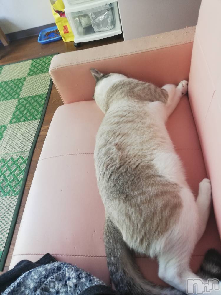 上越デリヘル上越最安値！奥様Deli急便(ジョウエツサイヤスネ！オクサマデリキュウビン) 熟女エロパワー全開　あきほ(54)の8月2日写メブログ「まだまだ時間あるよ！」