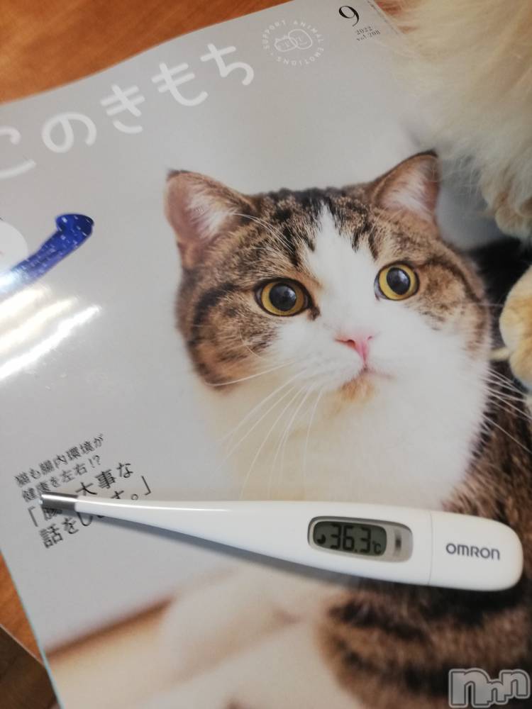 上越デリヘル上越最安値！奥様Deli急便(ジョウエツサイヤスネ！オクサマデリキュウビン) 熟女エロパワー全開　あきほ(54)の8月4日写メブログ「本日は😉」