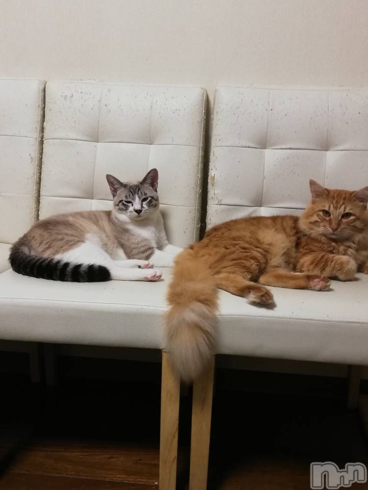 上越デリヘル上越最安値！奥様Deli急便(ジョウエツサイヤスネ！オクサマデリキュウビン) 熟女エロパワー全開　あきほ(54)の8月6日写メブログ「口開けの12時からの予約ありがとう❤️」