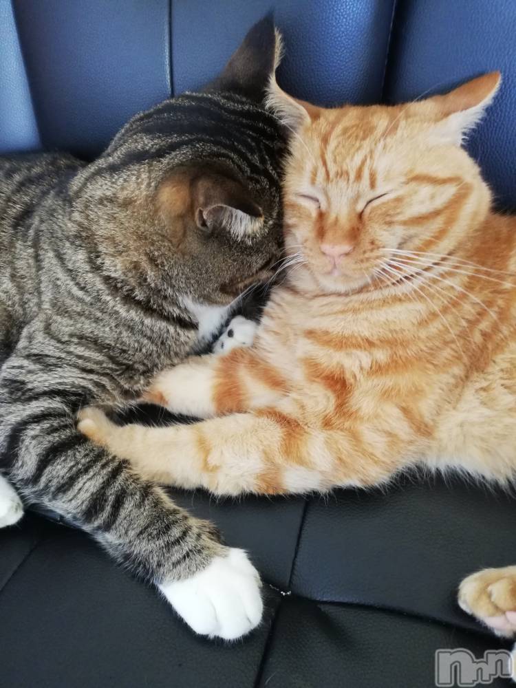 上越デリヘル上越最安値！奥様Deli急便(ジョウエツサイヤスネ！オクサマデリキュウビン) 熟女エロパワー全開　あきほ(54)の8月22日写メブログ「そろそろ出勤の準備して会いに行くよ(*^^*)」