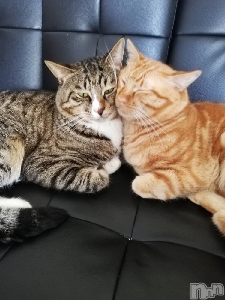 上越デリヘル上越最安値！奥様Deli急便(ジョウエツサイヤスネ！オクサマデリキュウビン) 熟女エロパワー全開　あきほ(54)の8月23日写メブログ「あきほが癒す番です😉」