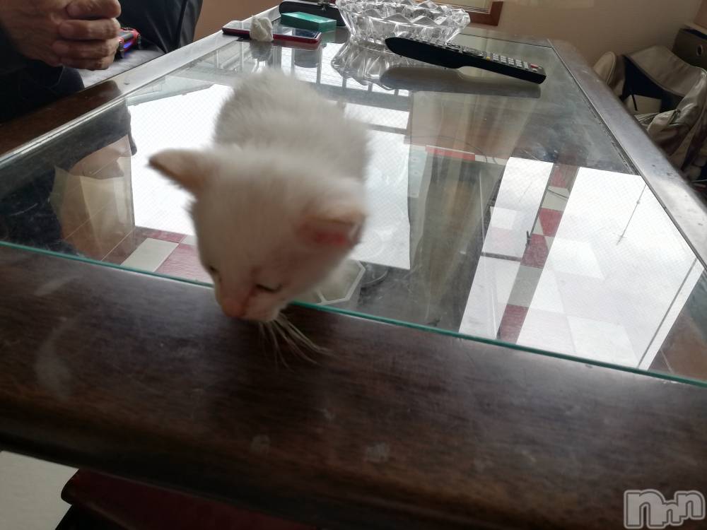 上越デリヘル上越最安値！奥様Deli急便(ジョウエツサイヤスネ！オクサマデリキュウビン) 熟女エロパワー全開　あきほ(54)の9月28日写メブログ「昨日のロングのお客様ありがとうございました❤️」