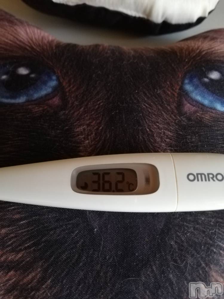 上越デリヘル上越最安値！奥様Deli急便(ジョウエツサイヤスネ！オクサマデリキュウビン) 熟女エロパワー全開　あきほ(54)の10月3日写メブログ「おはようございます。」