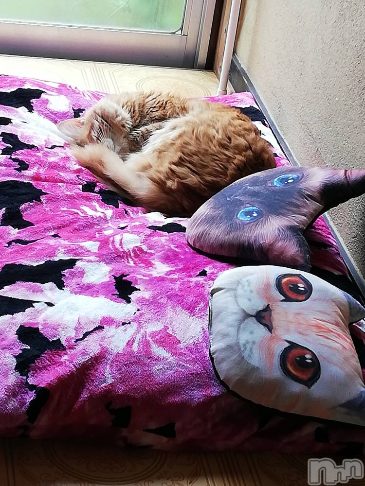 上越デリヘル上越最安値！奥様Deli急便(ジョウエツサイヤスネ！オクサマデリキュウビン) 熟女エロパワー全開　あきほ(54)の10月17日写メブログ「人肌恋しい季節」