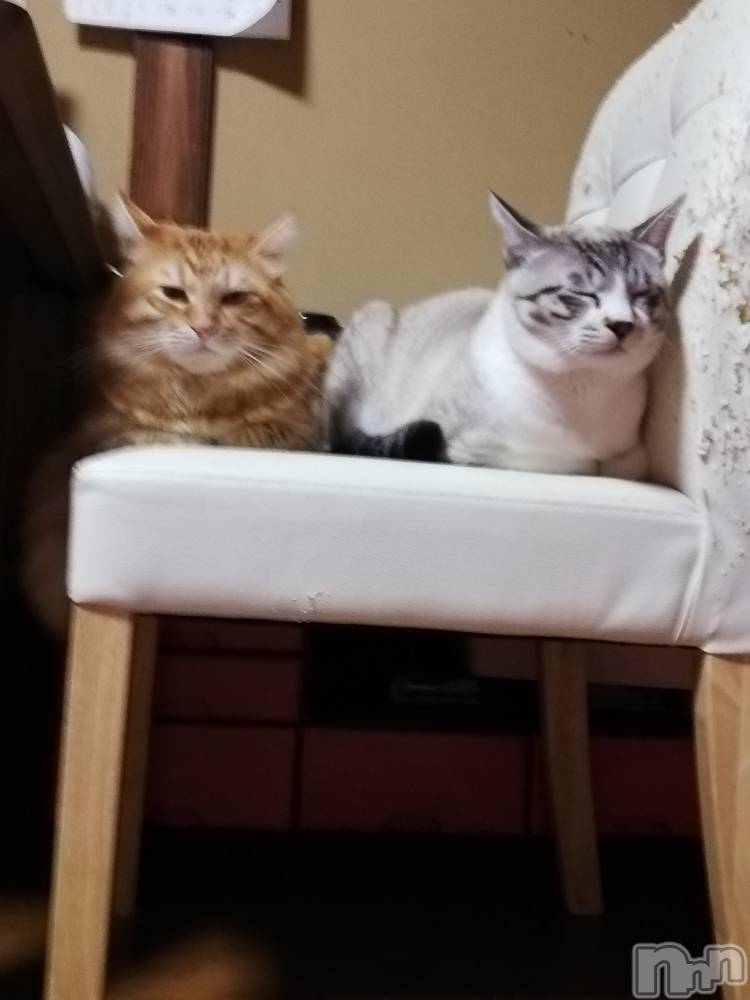 上越デリヘル上越最安値！奥様Deli急便(ジョウエツサイヤスネ！オクサマデリキュウビン) 熟女エロパワー全開　あきほ(54)の11月6日写メブログ「日曜日は早く目が覚めちゃう😉」